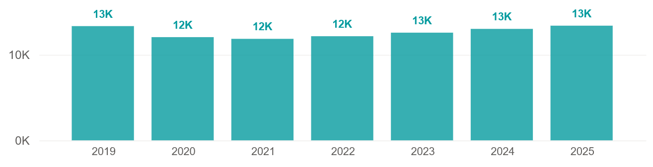 Active consultants in private healthcare by year